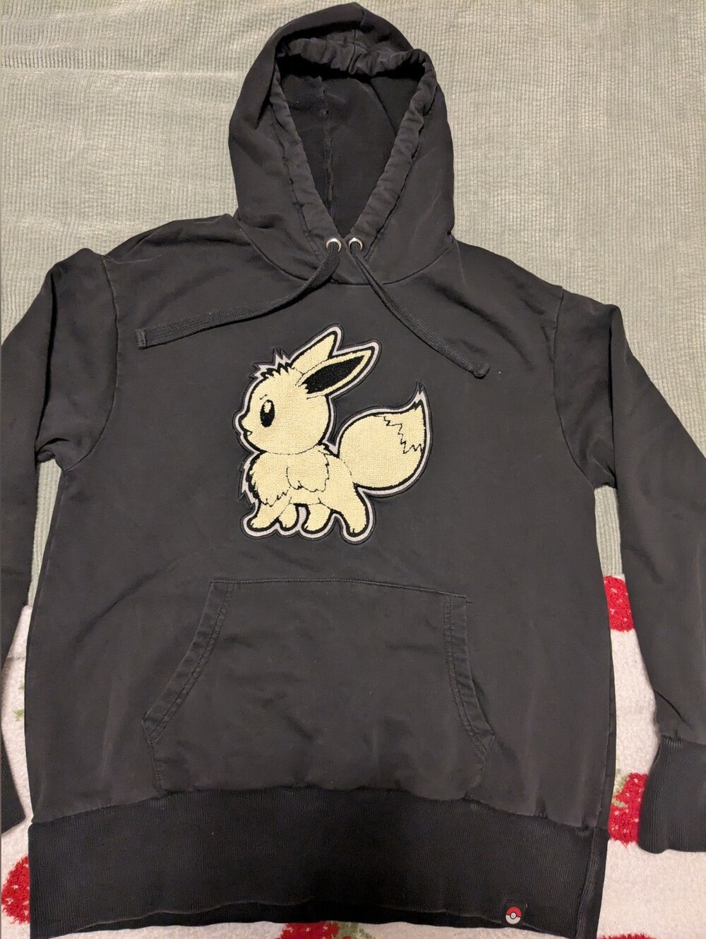 Pokémon Center Japan Only Sagara Embroidery Eevee Hoodie Official